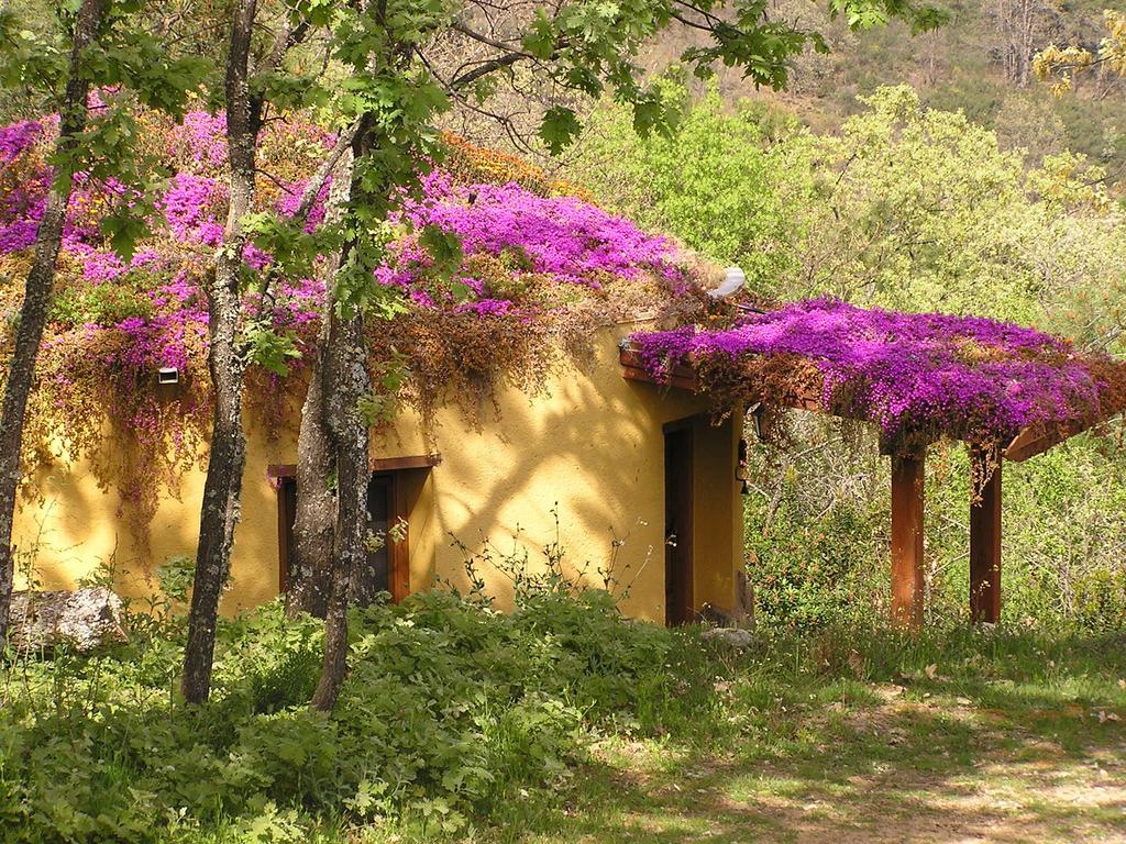 Apartamentos Rurales Ecopangea Valverde de la Vera Værelse billede