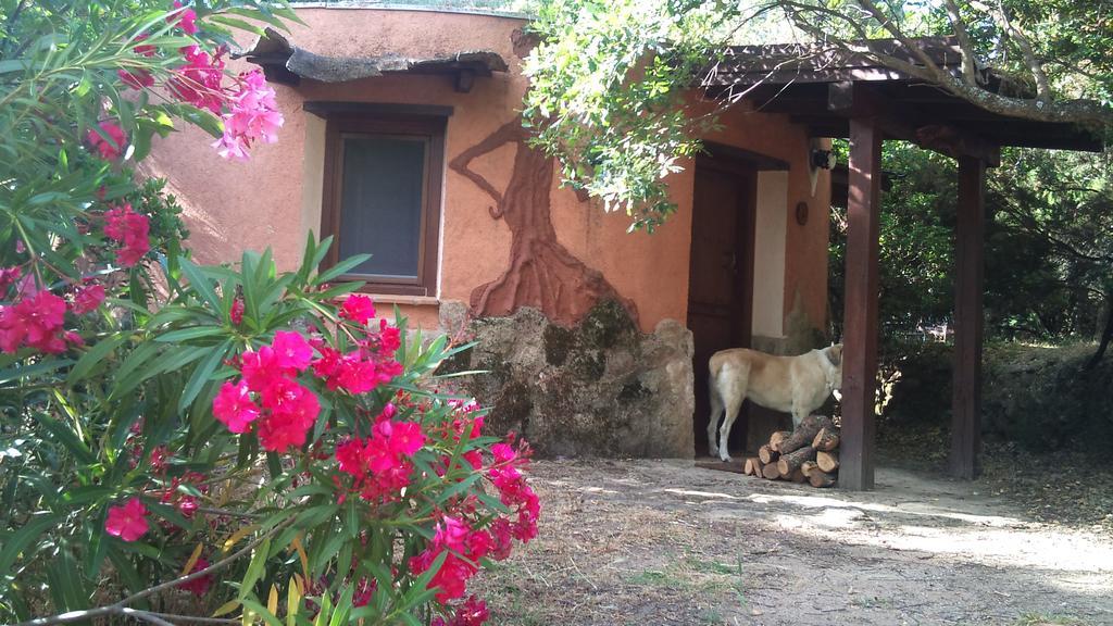 Apartamentos Rurales Ecopangea Valverde de la Vera Eksteriør billede