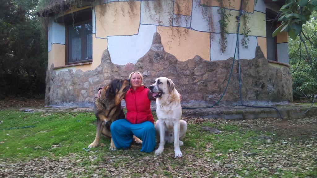 Apartamentos Rurales Ecopangea Valverde de la Vera Eksteriør billede