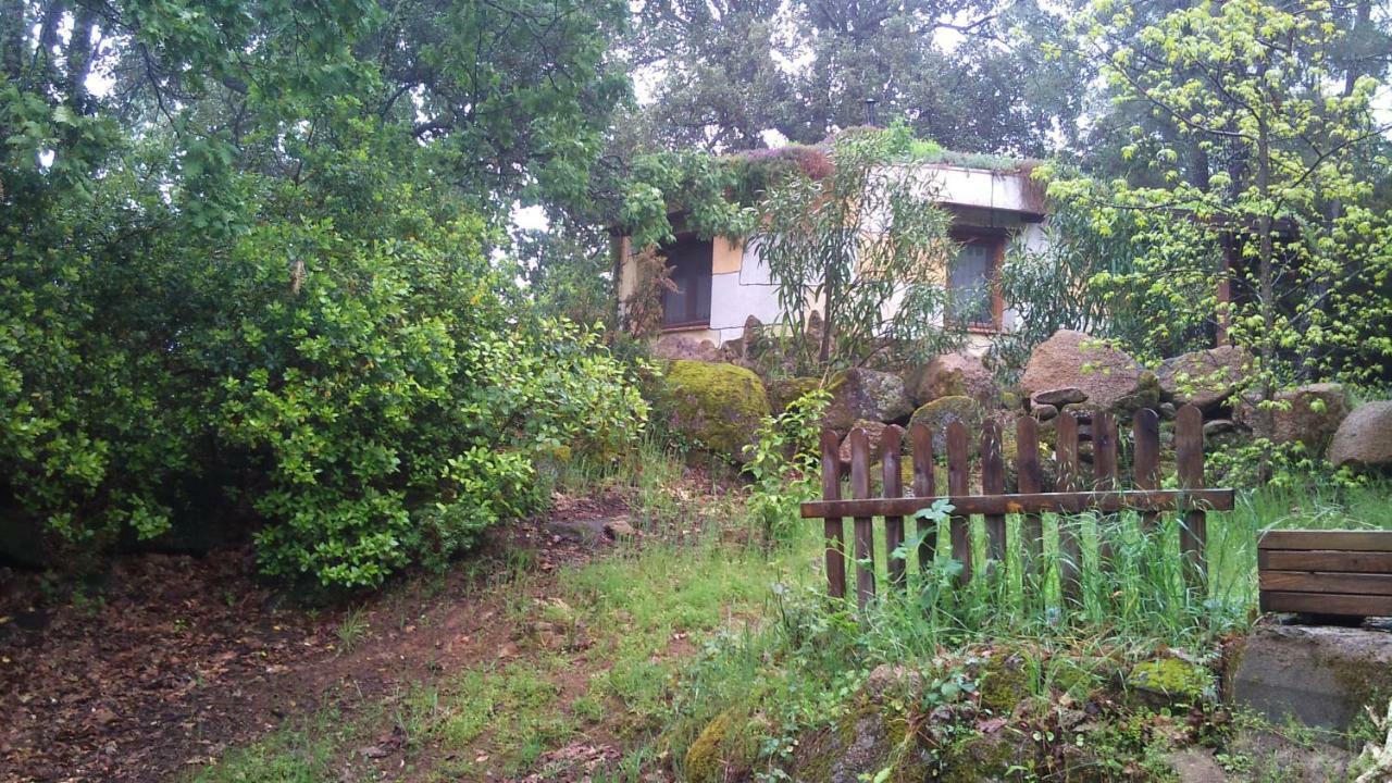 Apartamentos Rurales Ecopangea Valverde de la Vera Eksteriør billede
