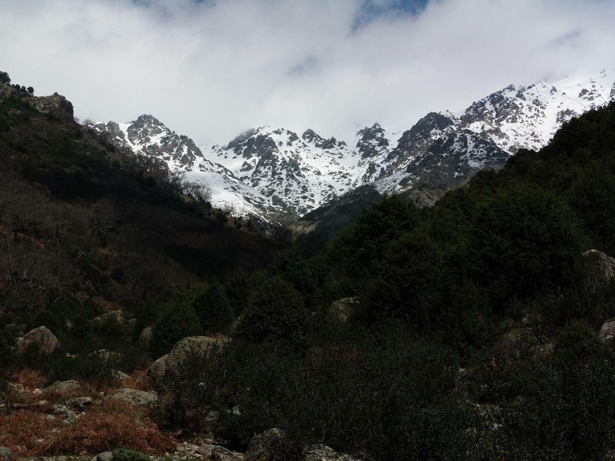 Apartamentos Rurales Ecopangea Valverde de la Vera Eksteriør billede