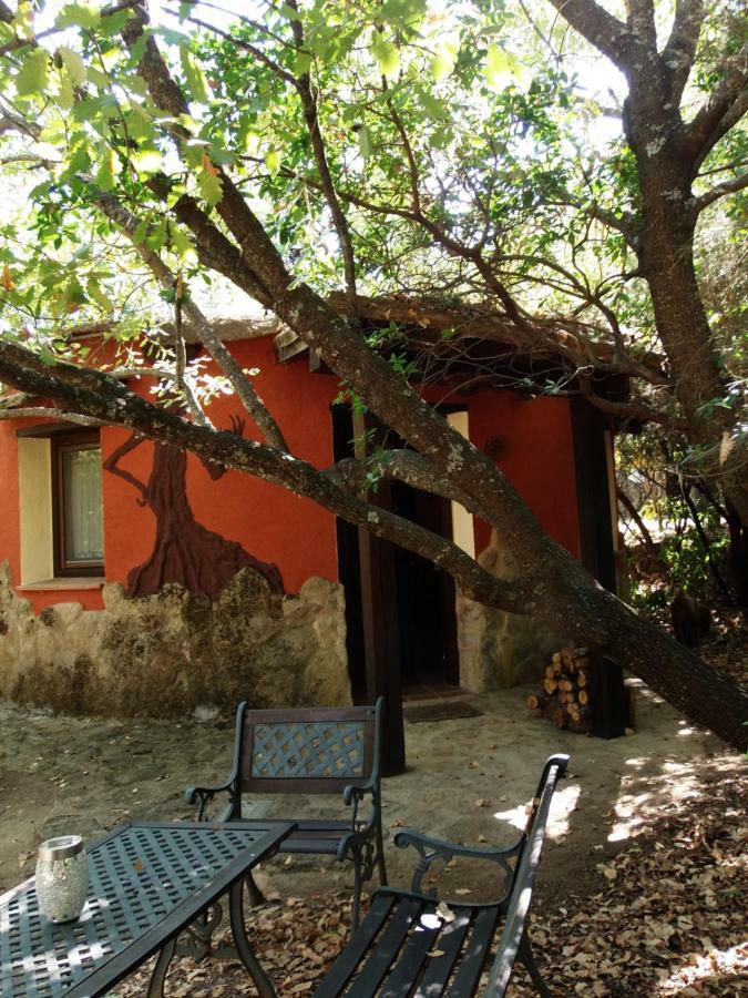 Apartamentos Rurales Ecopangea Valverde de la Vera Eksteriør billede