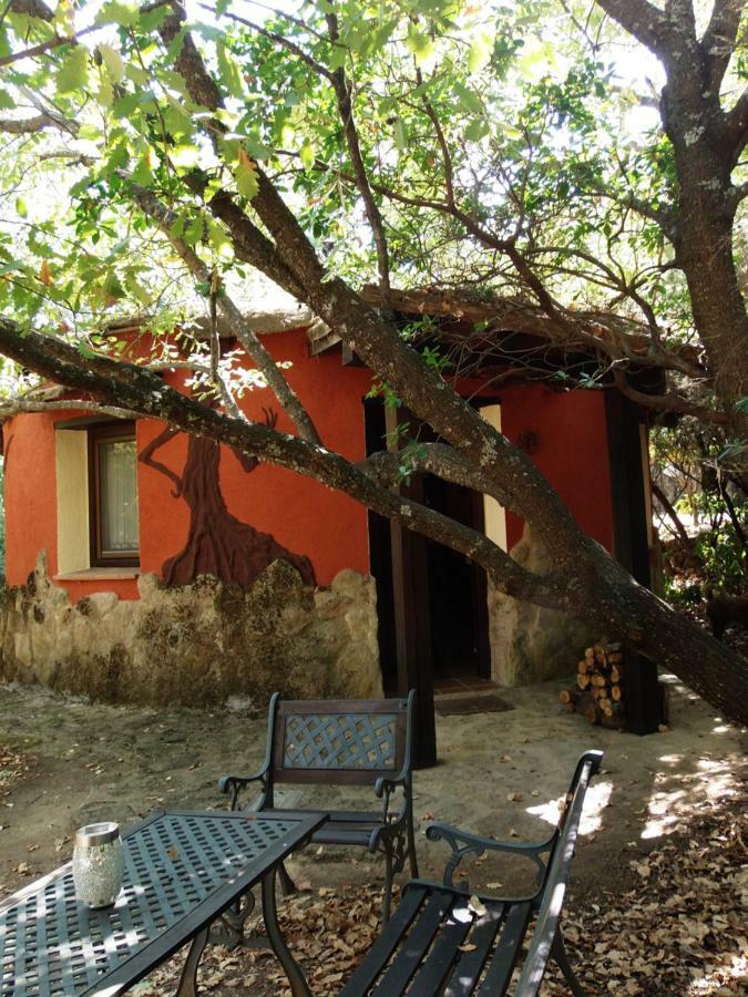 Apartamentos Rurales Ecopangea Valverde de la Vera Eksteriør billede